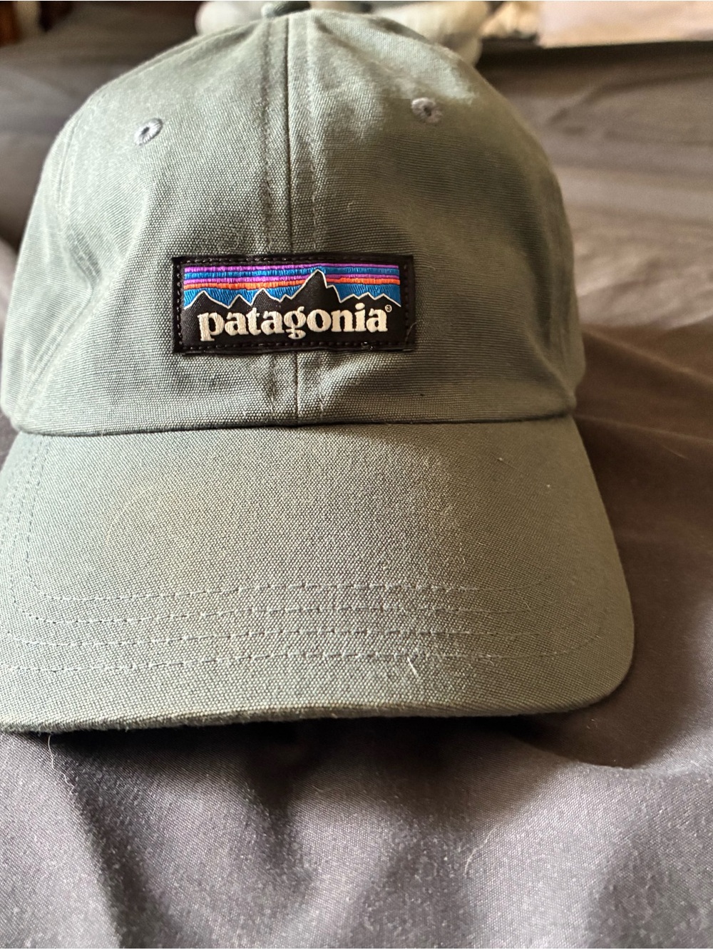 Patagonia Men's Slate blue Logo Baseball Cap